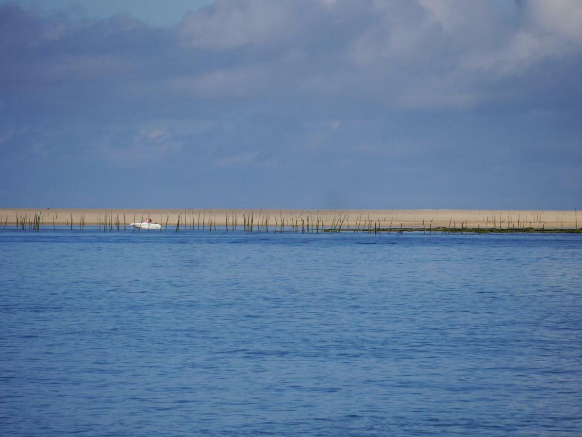 Au Coeur Du Bassin D'Arcachon Apartment Gujan-Mestras Bagian luar foto